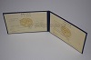 Стоимость диплома техникума УзбекАССР 1975-1991 г. в Козьмодемьянске (Республика Марий Эл)